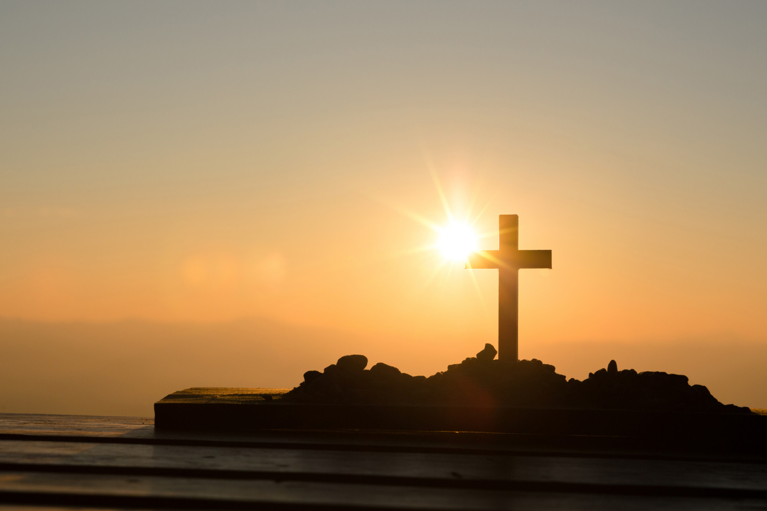 Bible and Christian study